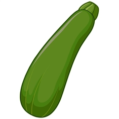 Zucchini Classroom Vegetable Transparent Sticker